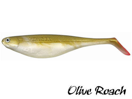 Flat Shad Softbait 9,5 cm. | Olive Roach